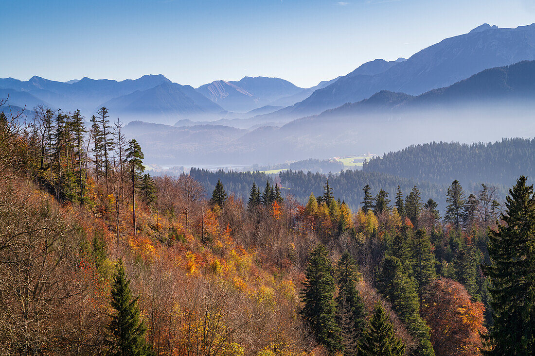 View from the castle ruins of Hohenfreyberg in the Ostallgäu near Pfronten in autumn to the Alps, Bavaria, Germany, Europe