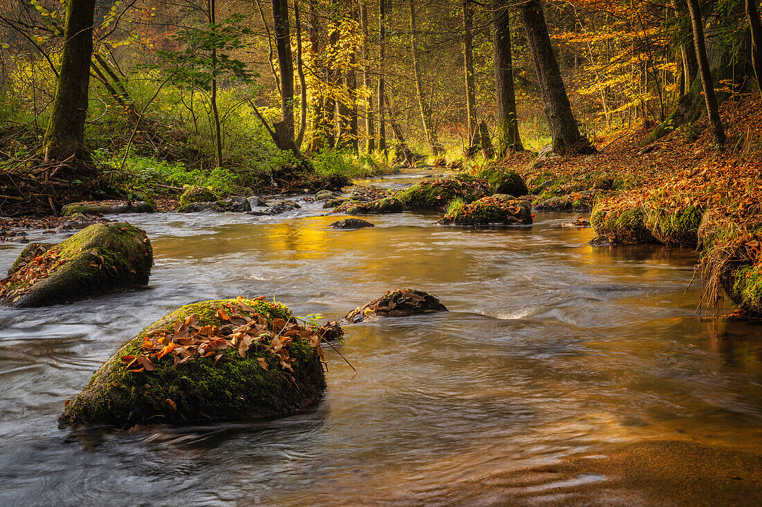  Autumn at Otterbach, Donaustauf, Brennberg, Bavaria, Germany, Europe 