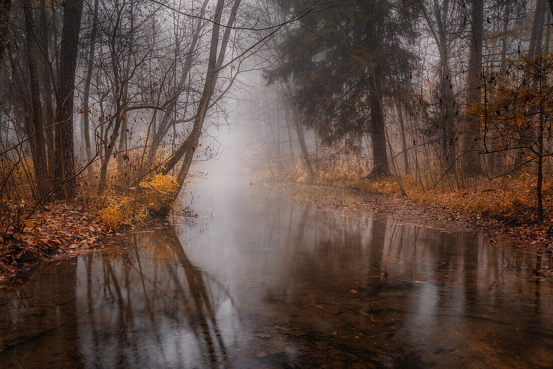  In the Au of Weilheim in autumn, Weilheim, Bavaria, Germany 