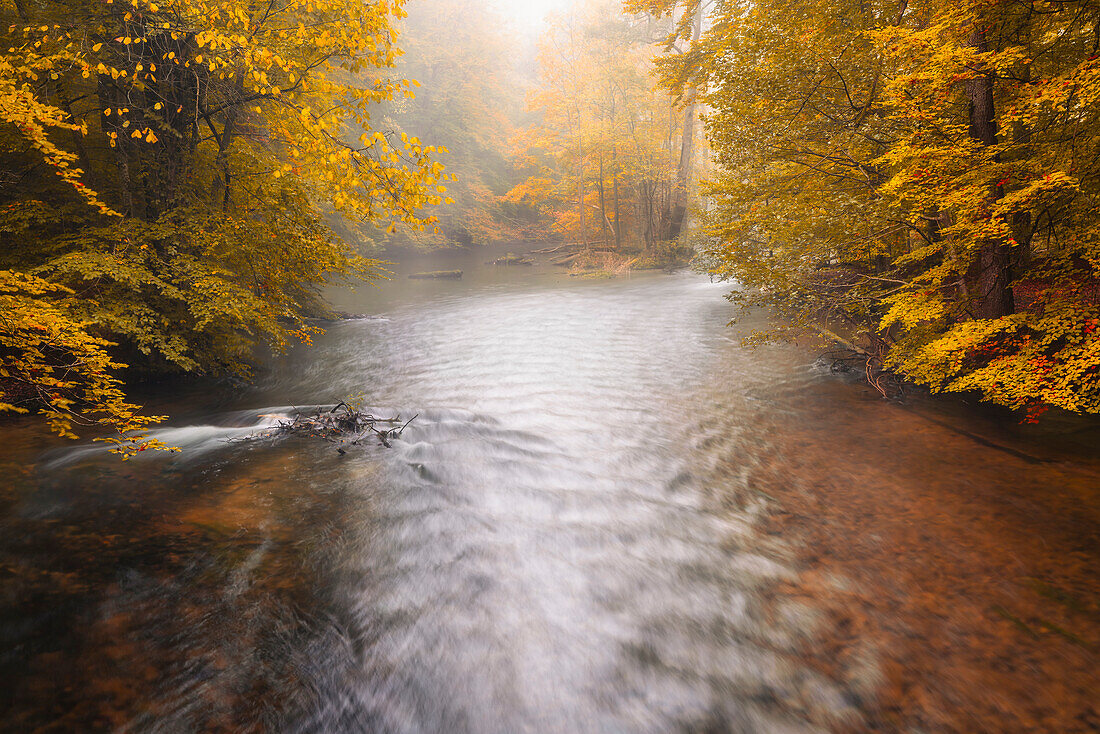  Autumn mood on the Würm, Bavaria, Germany 