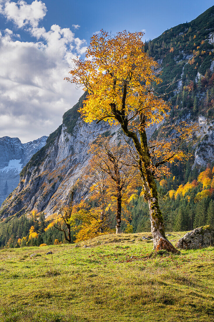 Morning mood on the Grosser Ahornboden, Karwendel, Eng, Hinterriß, Tyrol, Austria