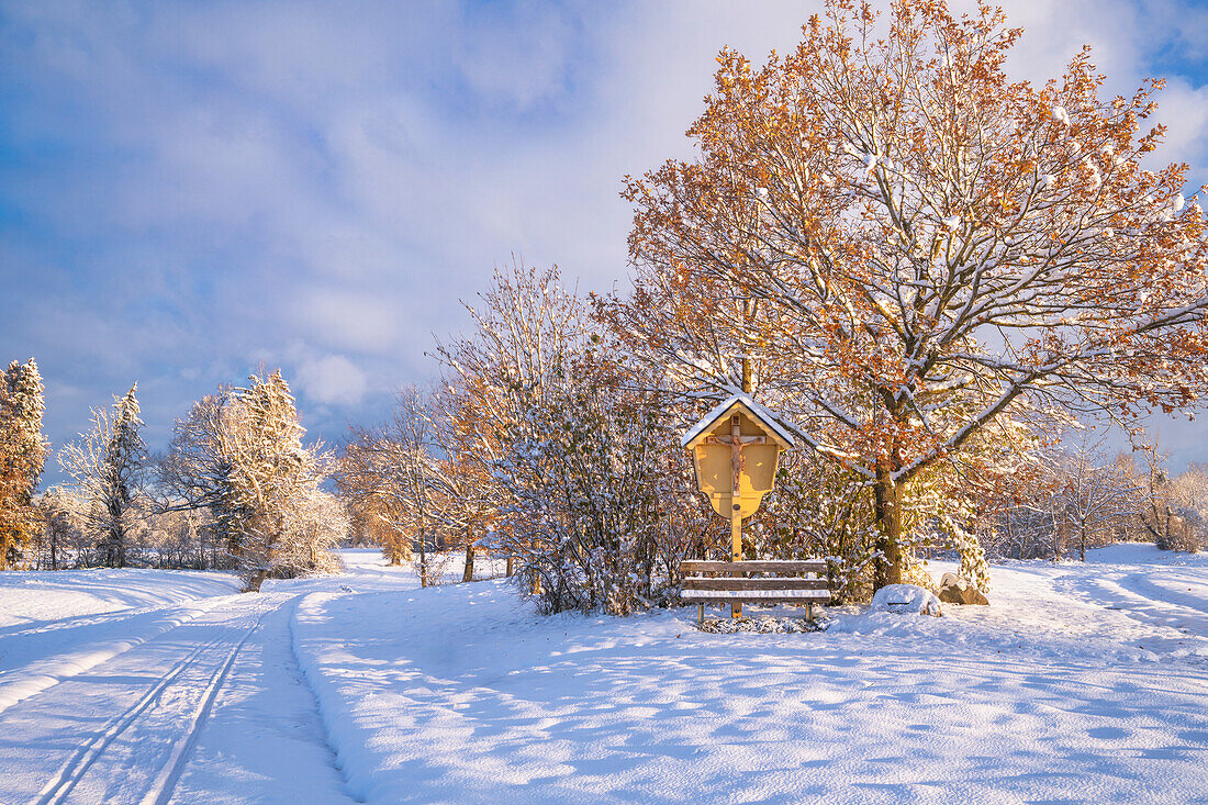 Wintermorgen im Weilheimer Moos, Weilheim, Bayern, Deutschland, Europa