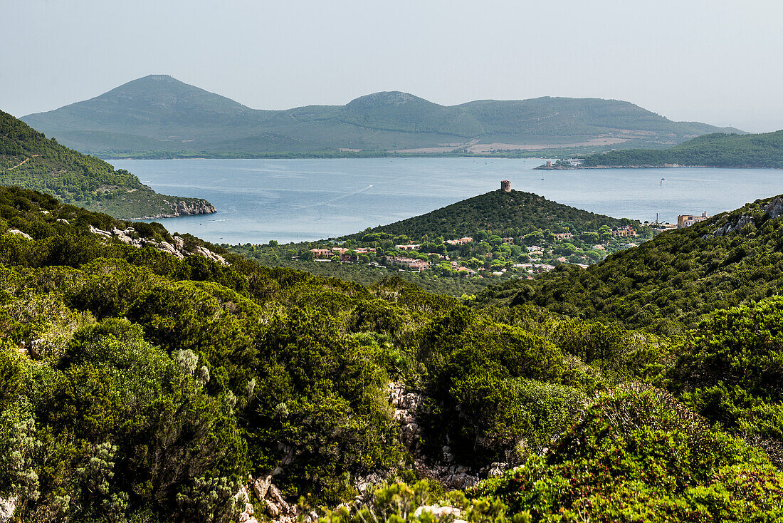 Küste, Capo Caccia, bei Alghero, Sardinien, Italien