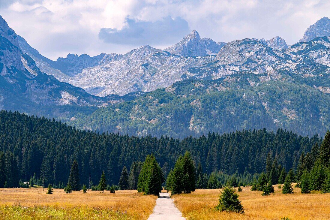 Weg auf der Panorama-Route, Blick auf das Durmitor Gebirgsmassiv, Durmitor Nationalpark, Naturlandschaft, Landschaft, Stadt Žabljak, Montenegro