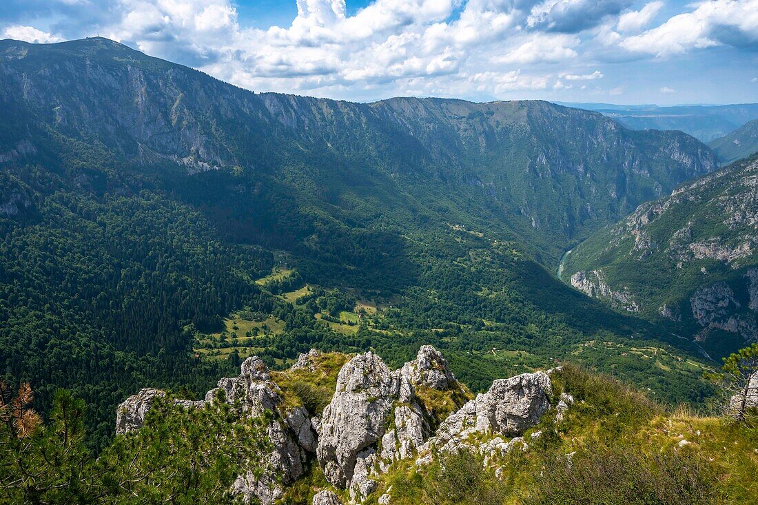  View of the Tara River, Tara Gorge in the Durmitor mountain range, natural landscape, landscape, Durmitor National Park near the town of Žabljak, Montenegro 