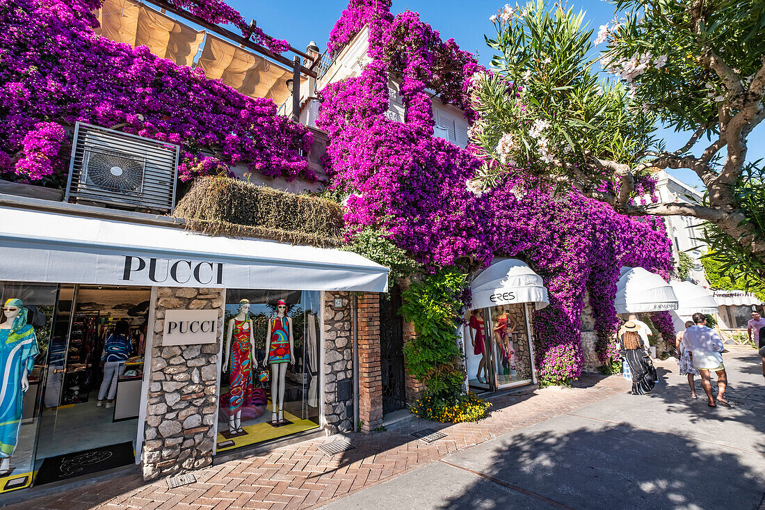  Shops in the streets of Capri, Capri, Gulf of Naples, Italy 