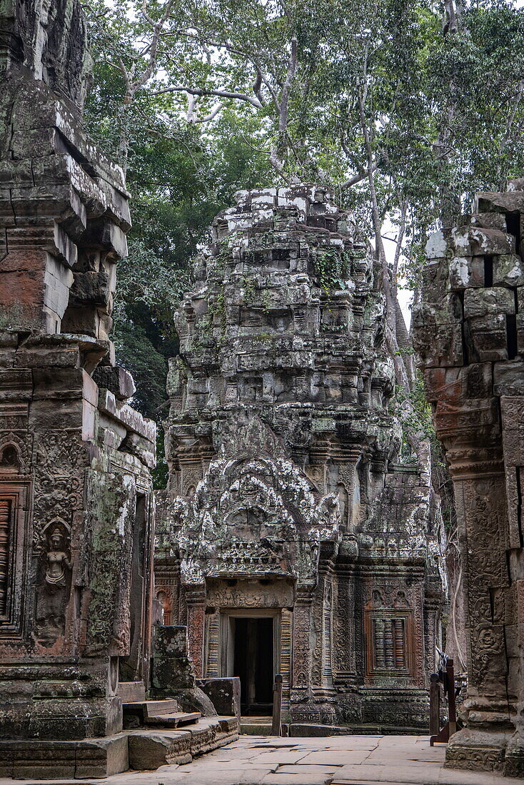  Trees growing over ruins of Ta Prohm temple in the Hindu-Buddhist temple complex of Angkor Wat, Angkor Wat, near Siem Reap, Siem Reap Province, Cambodia, Asia 