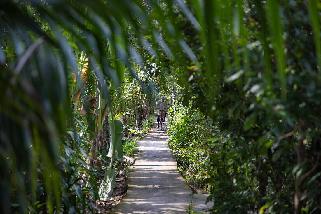 Mann fährt Fahrrad auf einem Weg im Hinterland von Ben Tre im Mekong-Delta, Quoi Son, Chau Thanh, Ben Tre, Vietnam, Asien