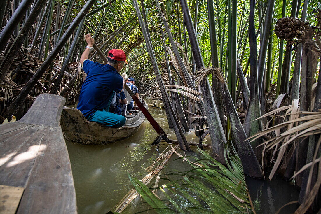  Excursion with a sampan boat through coconut trees and jungle on a branch of the Mekong in the hinterland of Ben Tre in the Mekong Delta, Quoi Son, Chau Thanh, Ben Tre, Vietnam, Asia 