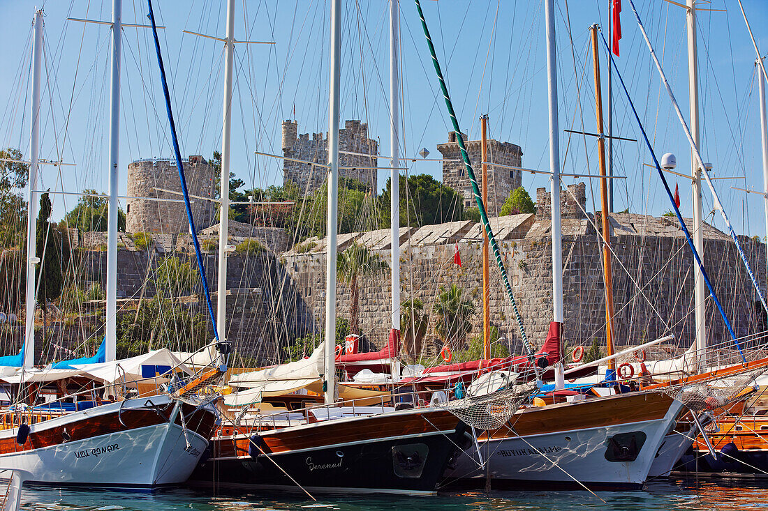 Traditional Turkish gulets moored at Bodrum Marina near the Bodrum Castle. Bodrum city, Mugla Province, Turkey.