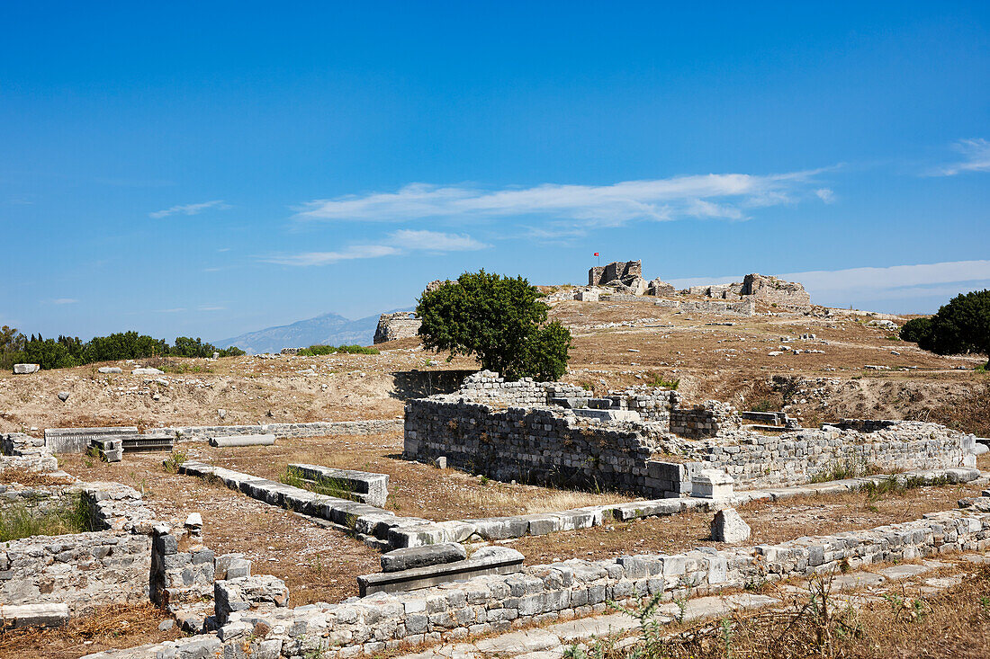 Ruins of buildings in Miletus, an ancient Greek then Roman city of western Anatolia. Aydin Province, Turkey.