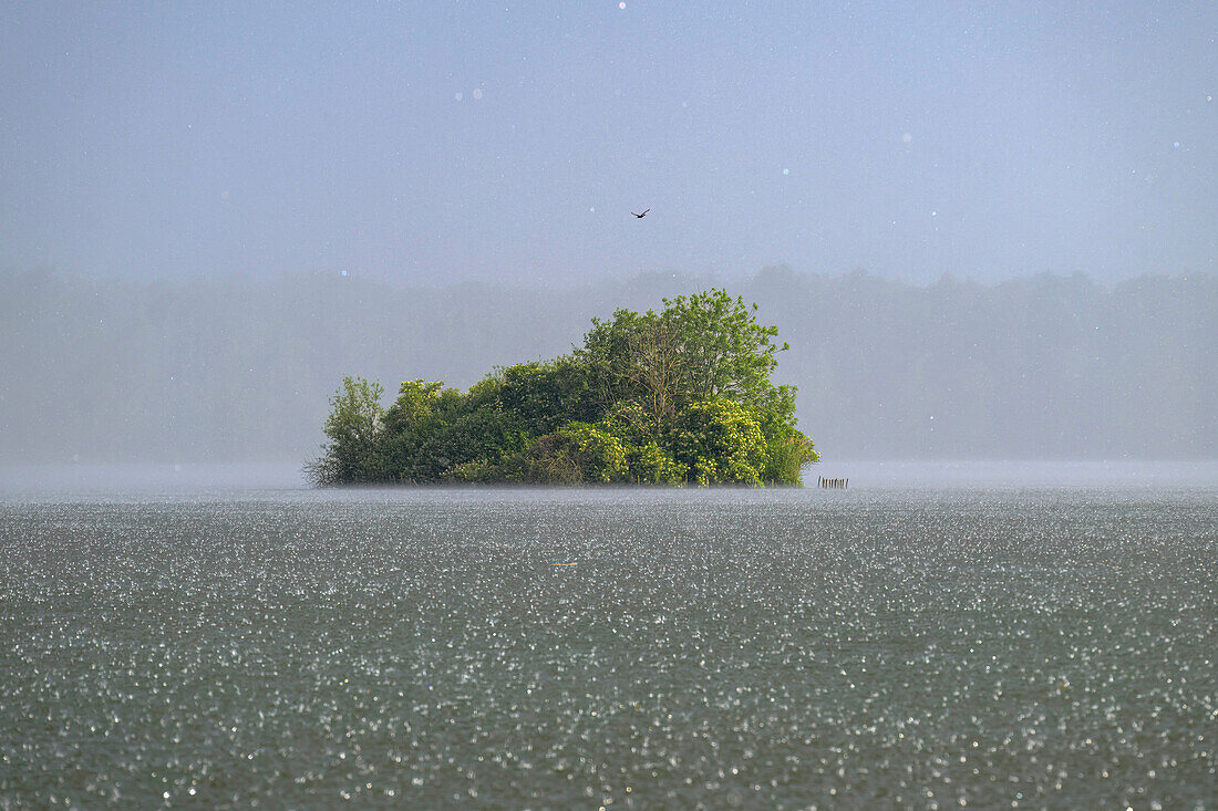 Seelandschaft Inselteich Schlepzig im Platzregen, Starkregen, Unwetter, Regentropfen, Sommerregen, Landregen, UNESCO Biosphärenreservat, Spreewald, Unterspreewald, Naherholungsgebiet, Brandenburg, Deutschland\n