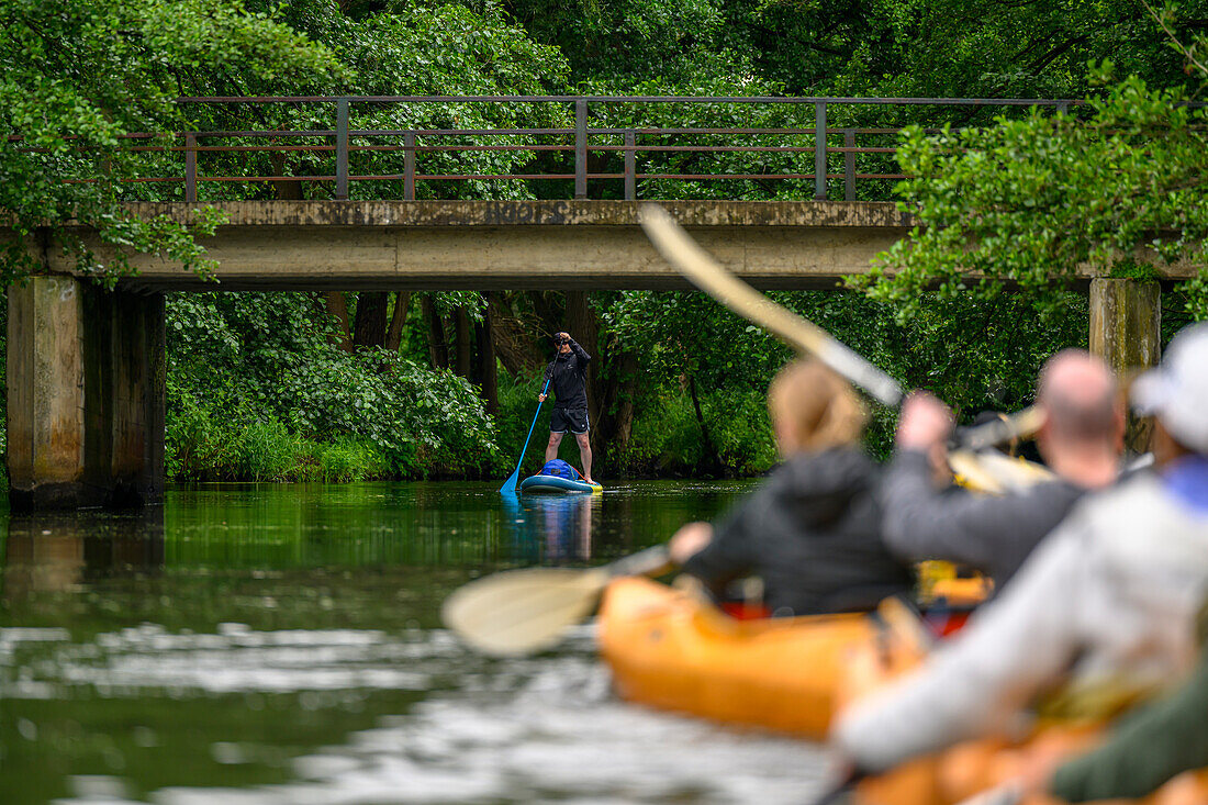 SUP, Stand Up Paddler und Kajakfahrer, Touristen fahren auf dem Spreewald Fließ, Kajak, Naherholungsgebiet, UNESCO Biosphärenreservat, Spreewald, Naherholungsgebiet, Brandenburg, Deutschland