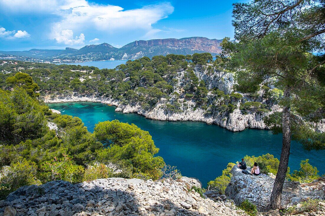  View over rocks to Calanques in the region of Cassis, coast, cliff, bay, limestone, Mediterranean Sea, Calanques National Park, France, Southern France\n 