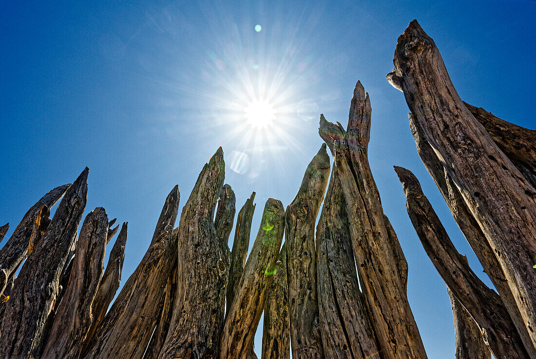 Holzzaun zum Schutz der Frans Indongo Lodge, Otjiwarongo, Otjozondjupa, Namibia, Afrika