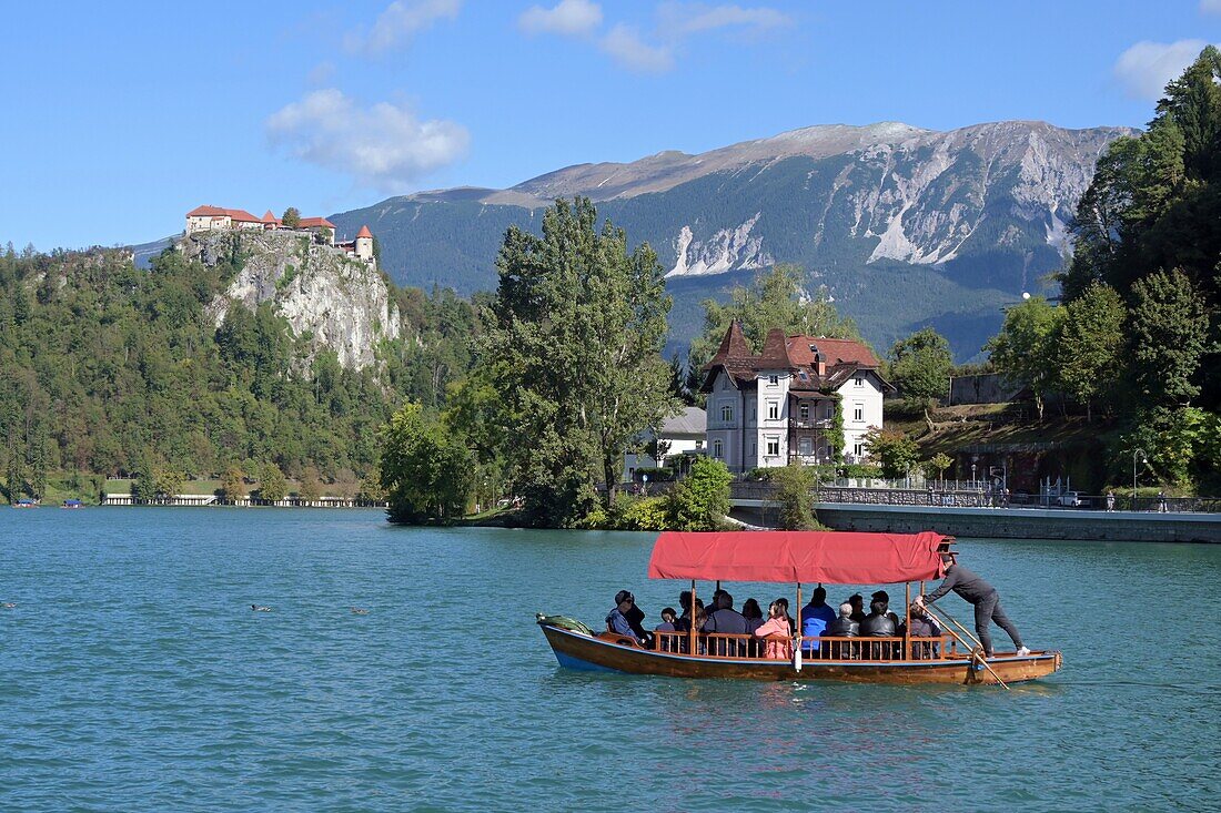 Am Bleder See mit See und Burg, Bled, Julische Alpen, Slowenien