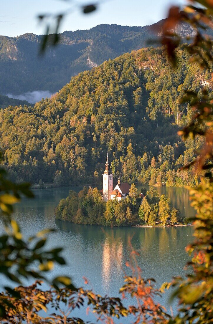  View from Bled Castle over Lake Bled and the lake island, Julian Alps, Slovenia 