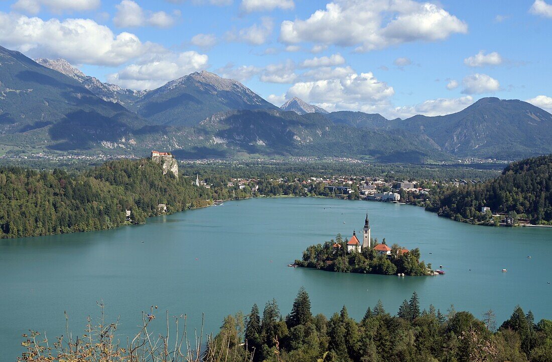 Blick vom Osojnica am Bleder See mit See-Insel und Sveti Maria, Bled, Julische Alpen, Slowenien