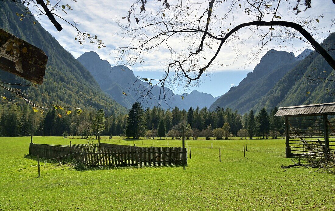  in the Radovna Valley near Kranjska Gora, Julian Alps, Slovenia 