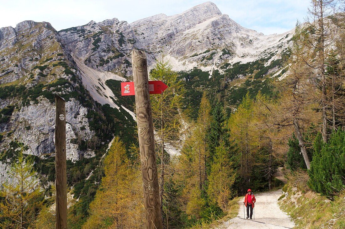  on the Vrisic Pass, Triglav National Park, Julian Alps, Slovenia 