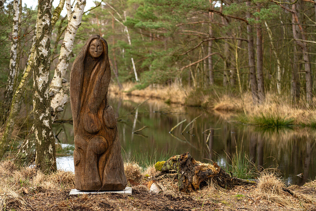  Wooden figure at the moor lake in the Ribnitzer Großes Moor nature reserve near Graal-Müritz, Mecklenburg-Vorpommern, Germany  