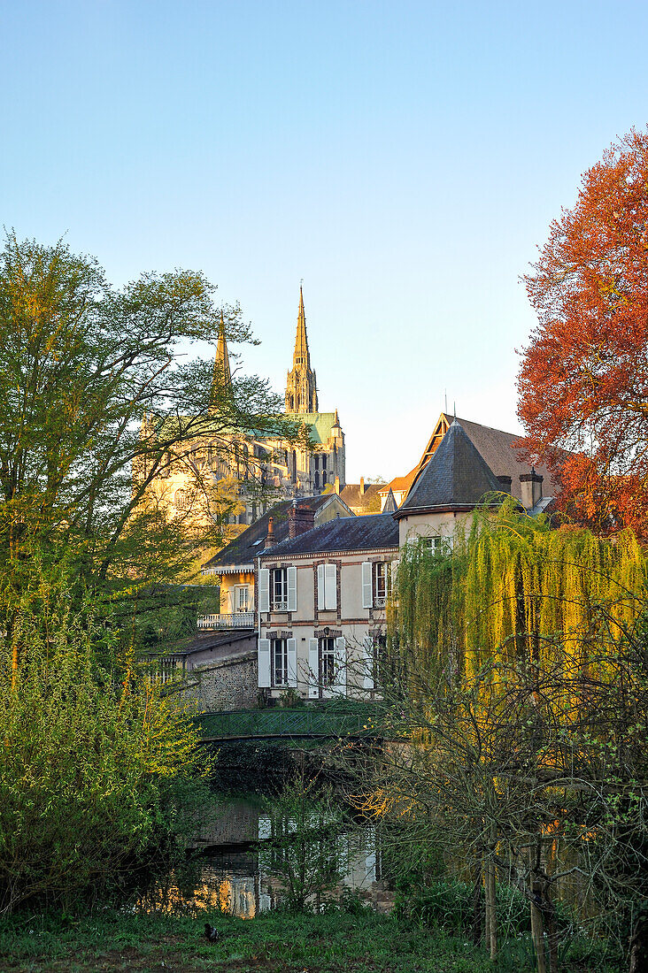 Ufer vom Fluss Eure mit der Kathedrale im Hintergrund, Chartres, Departement Eure-et-Loir, Region Centre-Val de Loire, Frankreich, Europa