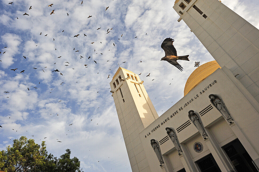 Greifvogel Schwarzmilan (Milvus migrans) über der Kathedrale von Dakar, Region Dakar, Senegal, Westafrika