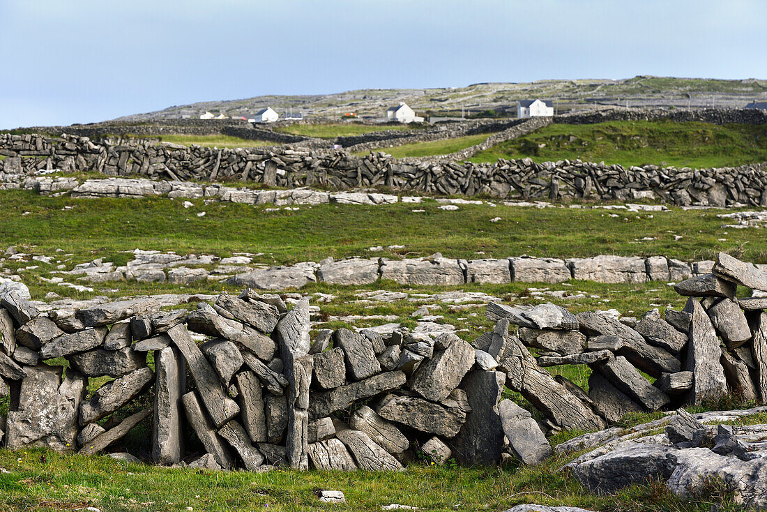 dry stone walls, Inishmore, the largest of the Aran Islands, Galway Bay, West Coast, Republic of Ireland, North-western Europe