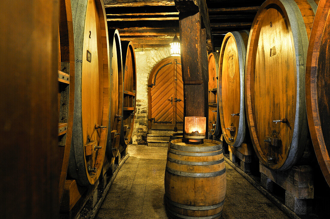 cellar of Daley Estate in Vineyard terraces of Lavaux on the bank of Leman Lake,around Lausanne,Canton of Vaud,Switzerland,Europe