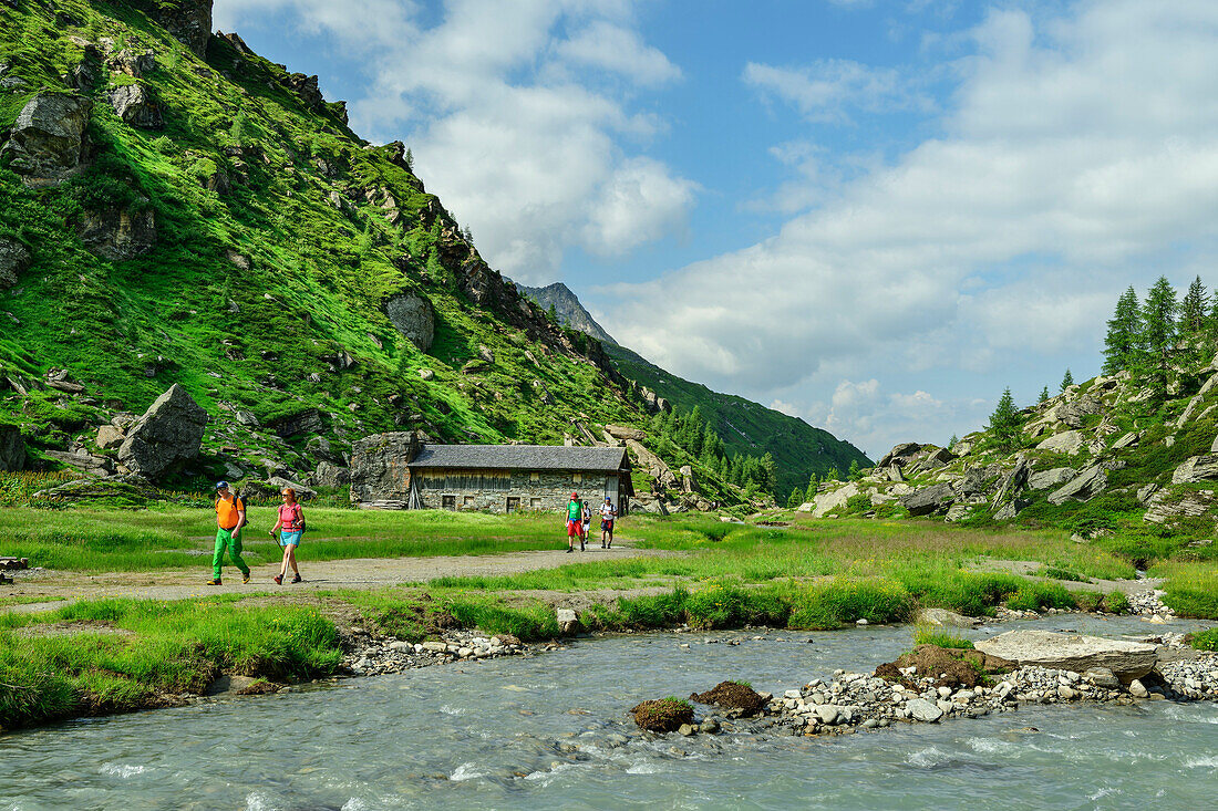  Several people hiking along a mountain stream, alpine pasture in the background, Lahneralm, Ahrntal, Venediger Group, South Tyrol, Italy 