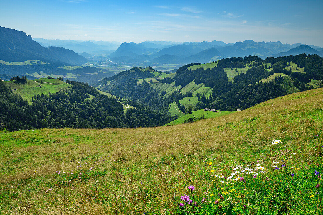 Almwiese mit Blick auf Inntal und Mangfallgebirge, Geigelstein, Chiemgauer Alpen, Oberbayern, Bayern, Deutschland