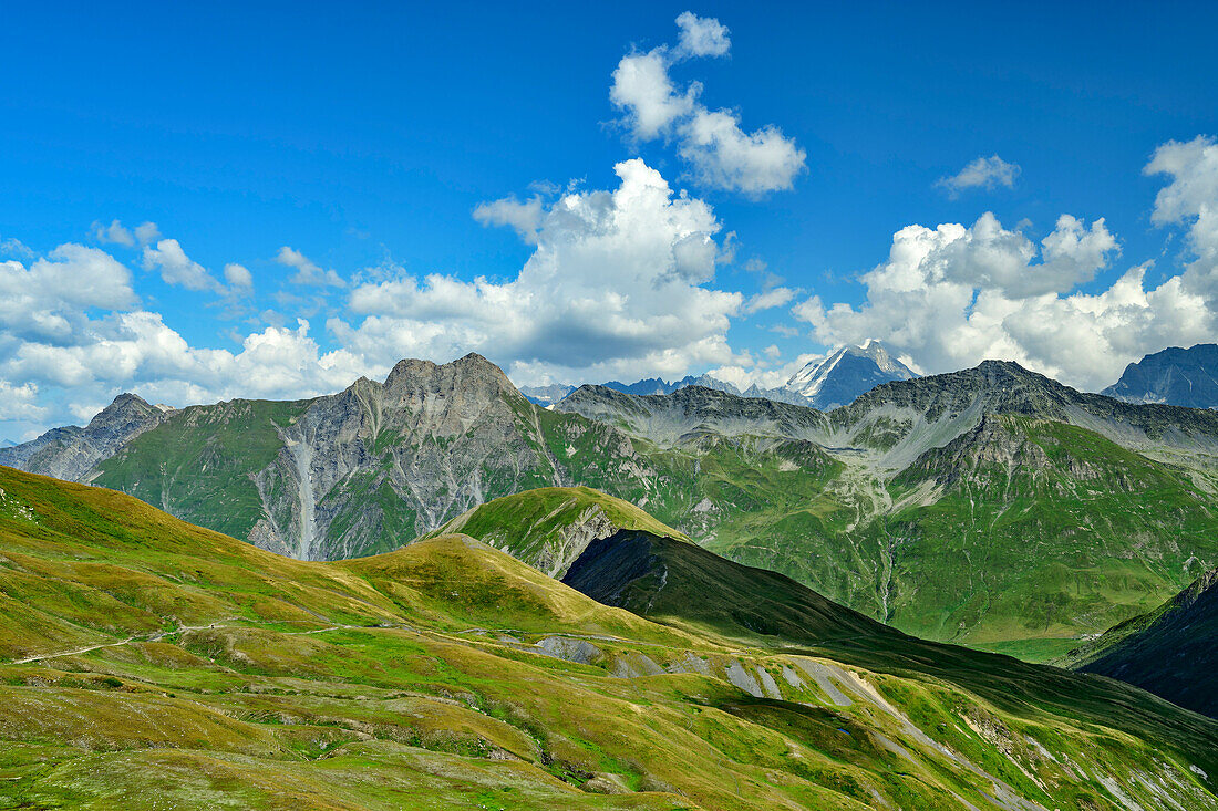 Schweizer Val Ferret mit Grand Combin im Hintergrund, Tour du Mont Blanc, Mont-Blanc-Gruppe, Grajische Alpen, Wallis, Schweiz