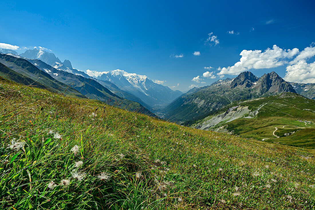  Mountain meadows at Col de Balme with view of Aiguille Verte and Mont Blanc, Tour du Mont Blanc, Mont Blanc Group, Graian Alps, Haute-Savoie, Upper Savoy, France 