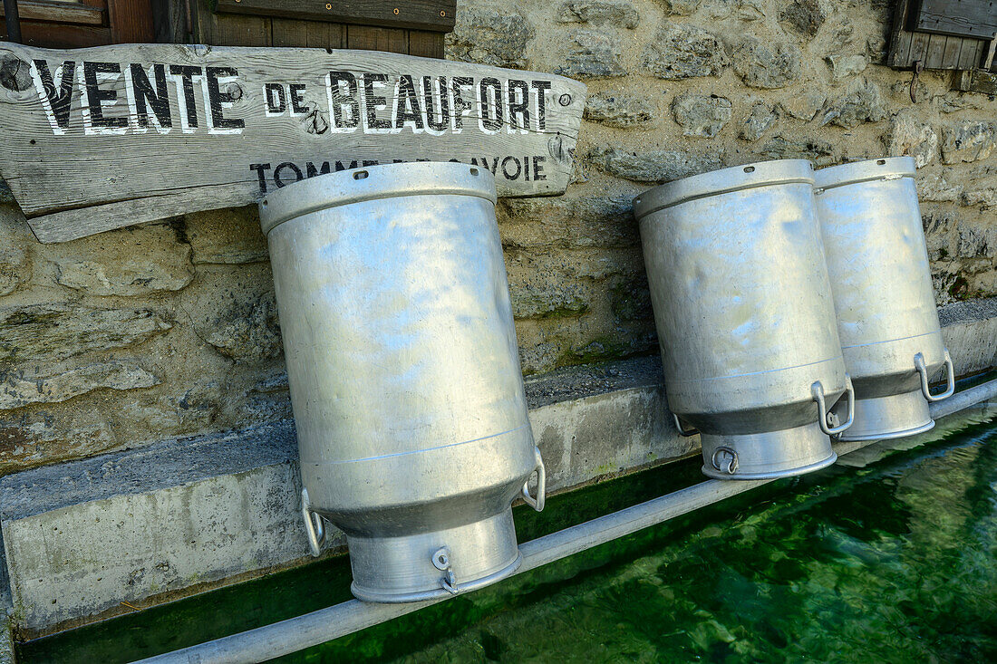  Large milk cans stand in front of alpine pasture, La Ville des Glaciers, Tour du Mont Blanc, Mont Blanc Group, Graian Alps, Haute-Savoie, Upper Savoy, France 