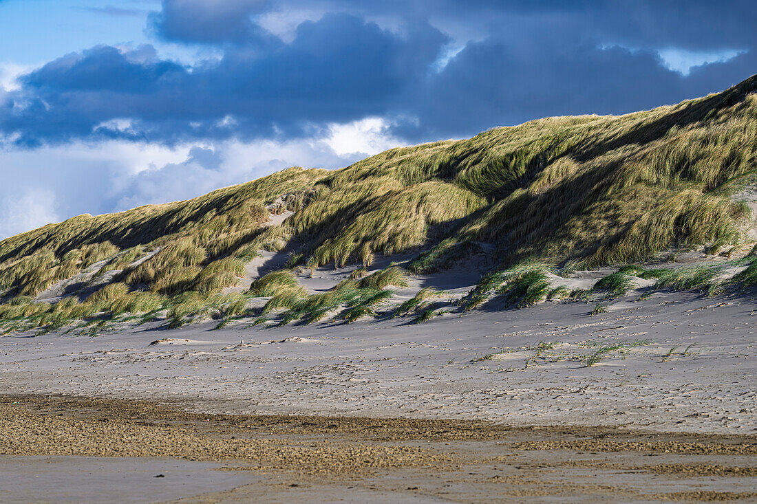 A scenic view of sand dunes covered with grass under a cloudy sky.