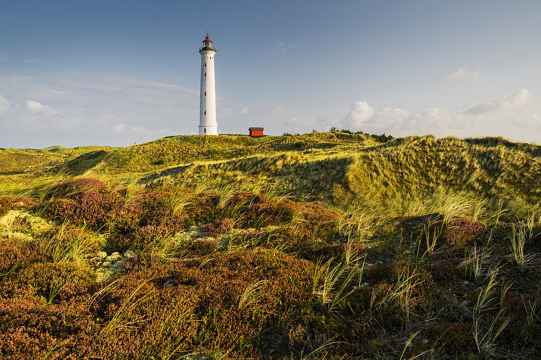  Lyngvig Lighthouse, Hvide Sande, Ringkjobing, Denmark 