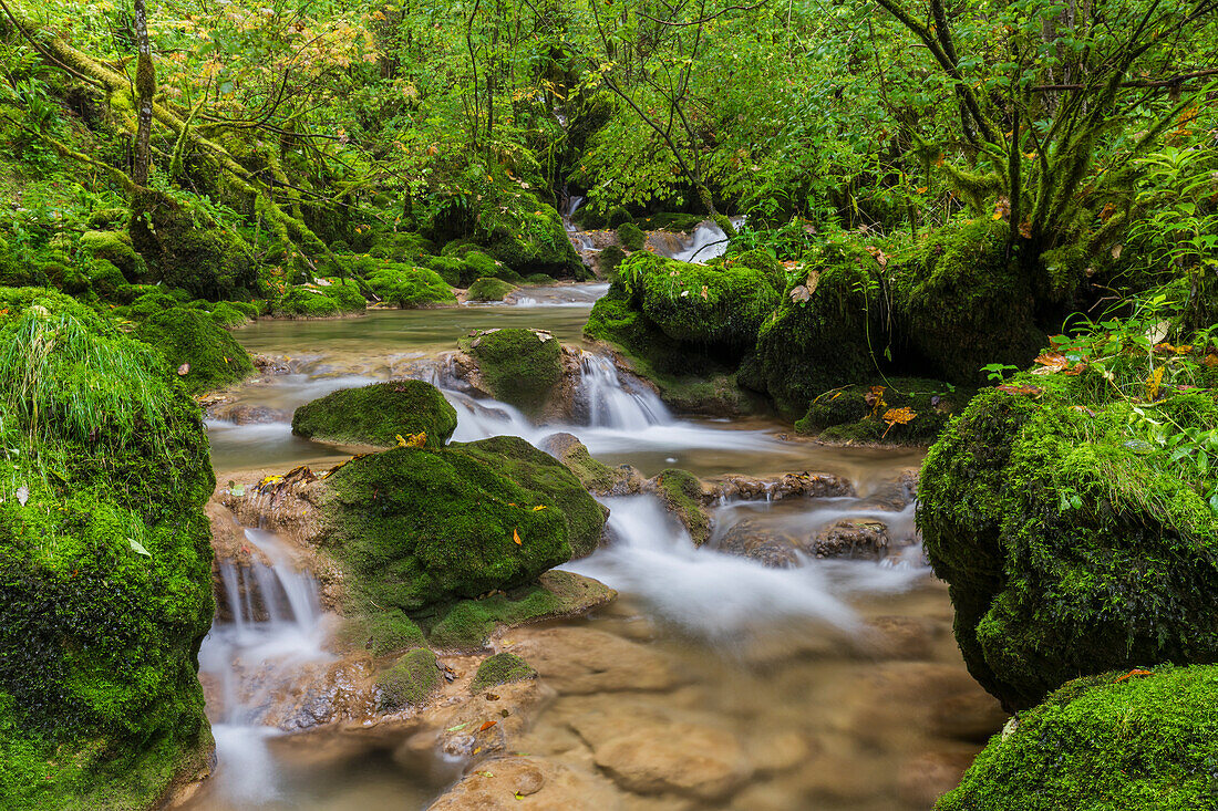 Bach im Cirque de Consolation, Consolation-Maisonnettes, Doubs, Frankreich