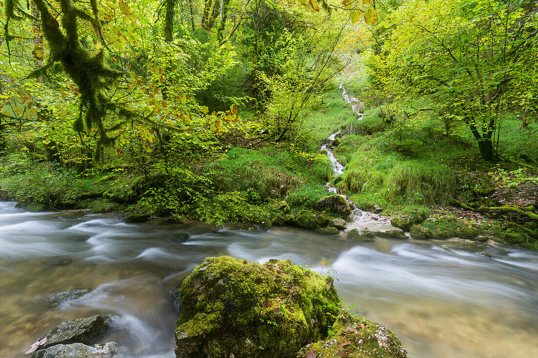 Fluss Hérisson, Menétrux-en-Joux, Jura, Frankreich