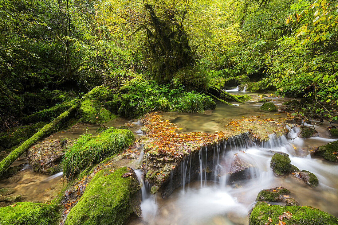  Bach in the Cirque de Consolation, Consolation-Maisonnettes, Doubs, France 