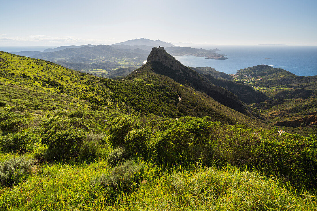  View over the bay of Portoferraio, Elba Island, Tuscany, Italy 