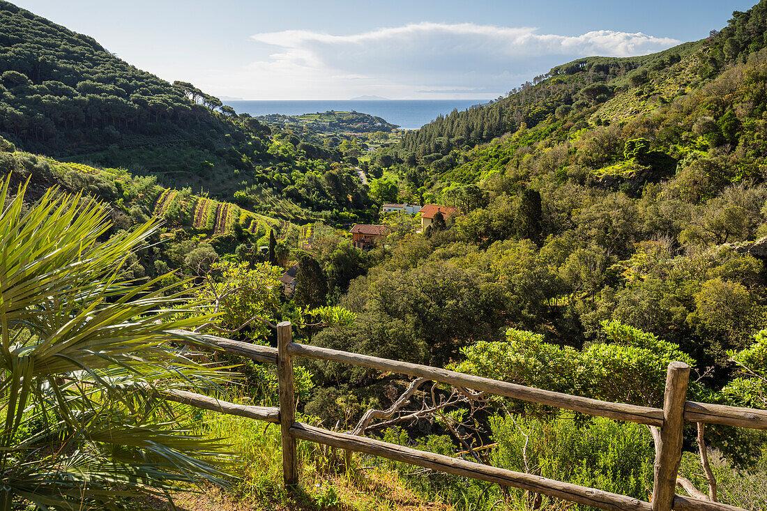  View from the Madonna di Monserrato chapel, Elba Island, Tuscany, Italy 