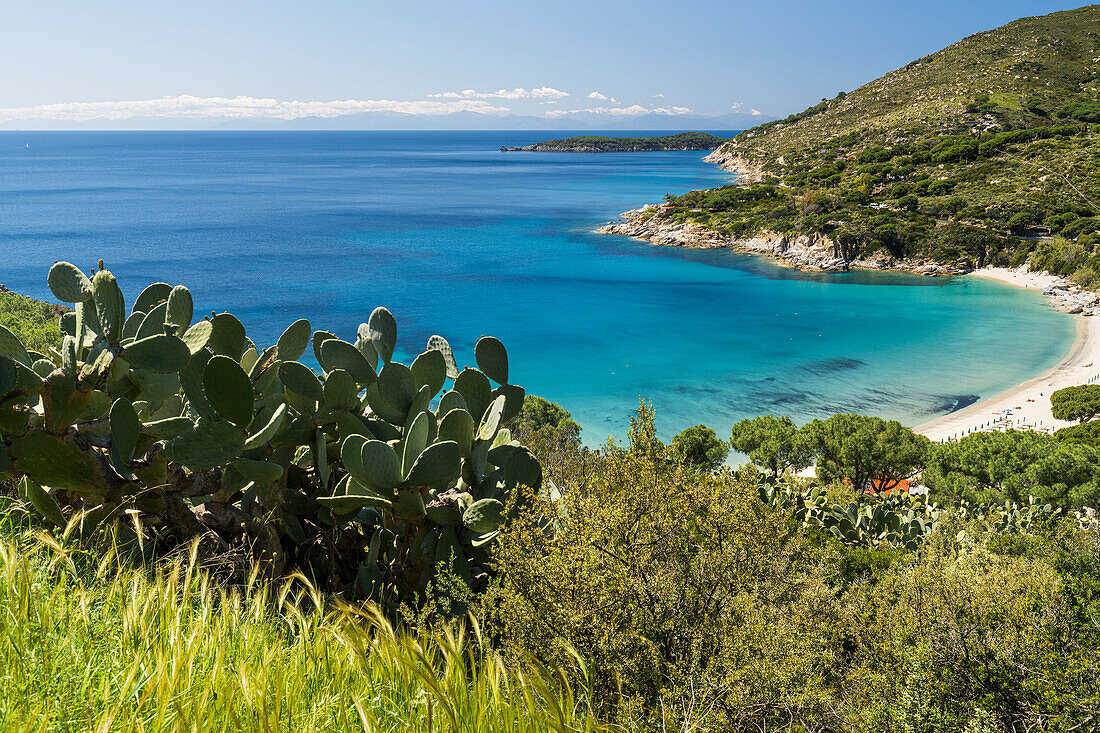  View of the bay of Cavoli, Elba Island, Tuscany, Italy 