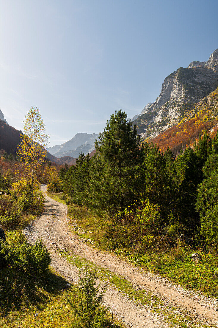  Road in Ropojana Valley, Prokletije Mountains, Gusinje, Montenegro 