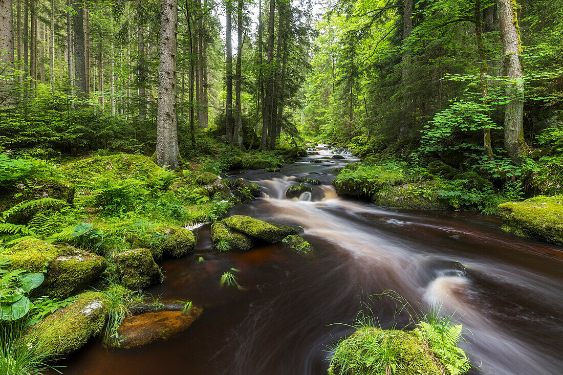  Höllfall, Großer Kamp, Waldviertel, Lower Austria, Austria 