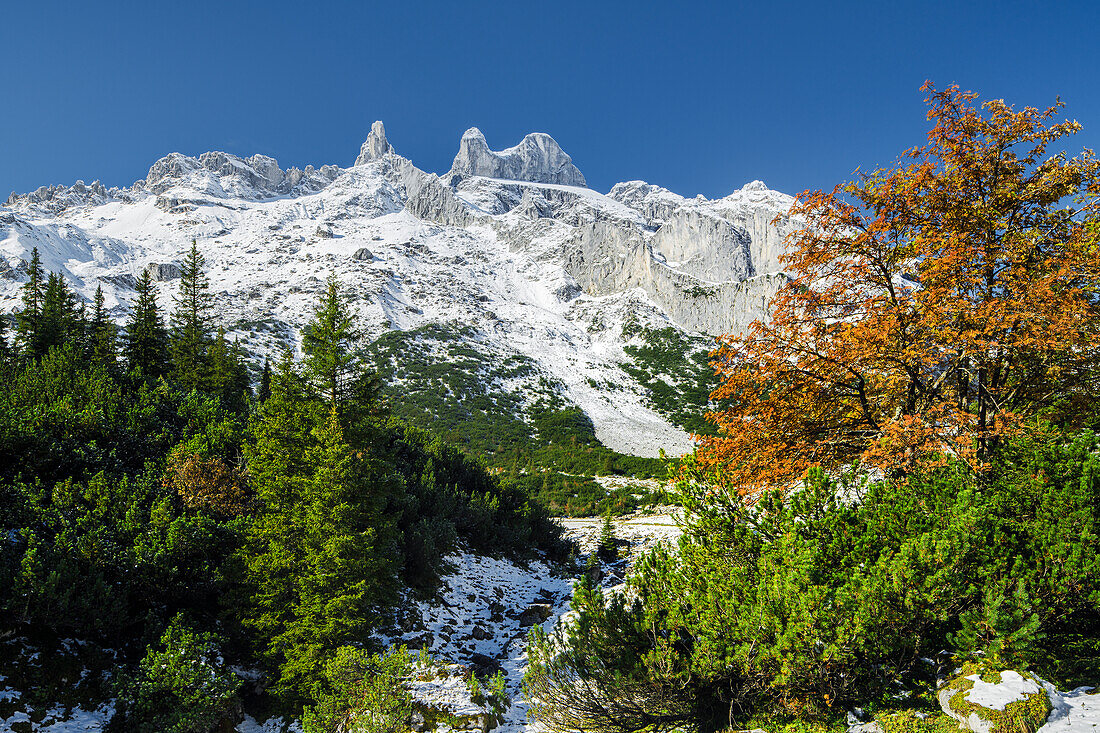 Obere Sporaalpe, Drei Türme, Rätikon, Schruns, Vorarlberg, Österreich