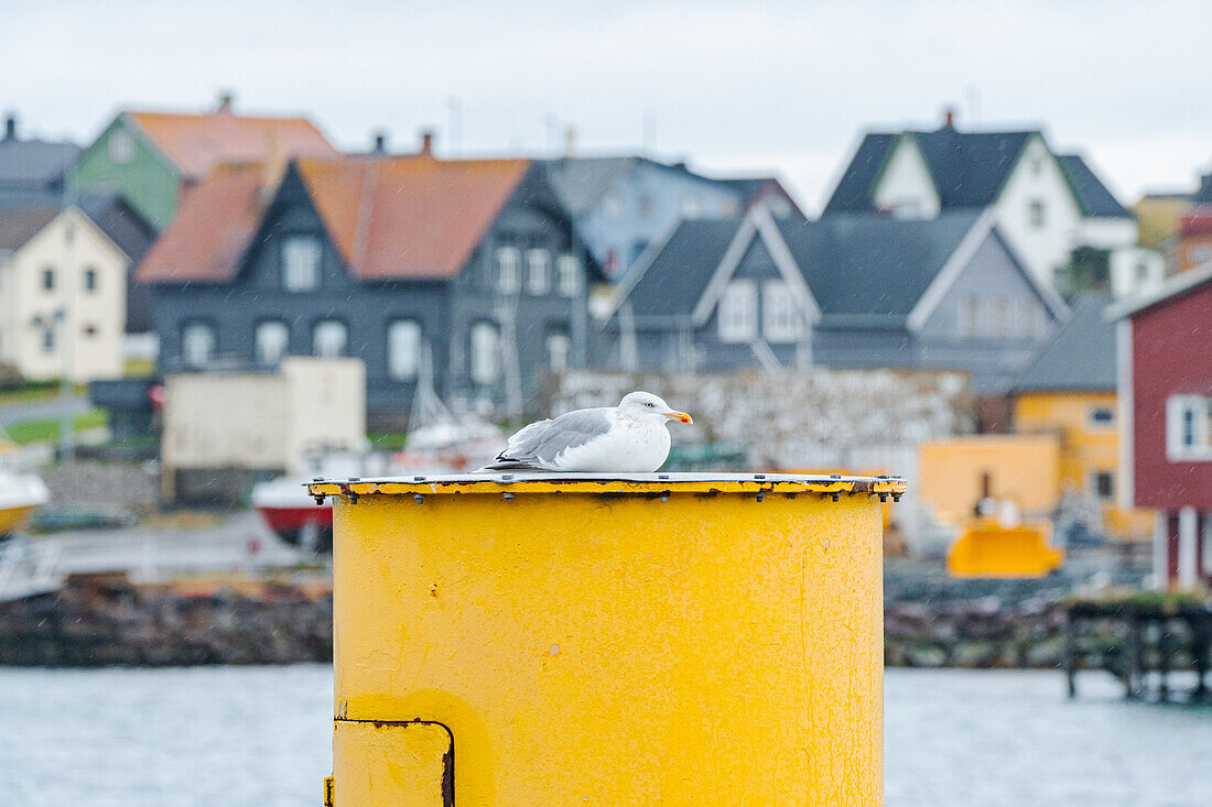  Norway, Finnmark, Varangerhalvøya, Vardø 