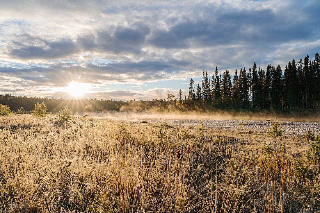 Finnland, Oulanka-Nationalpark, Blick auf See und Wald am Abend im Gegenlicht bei Sonnenuntergang