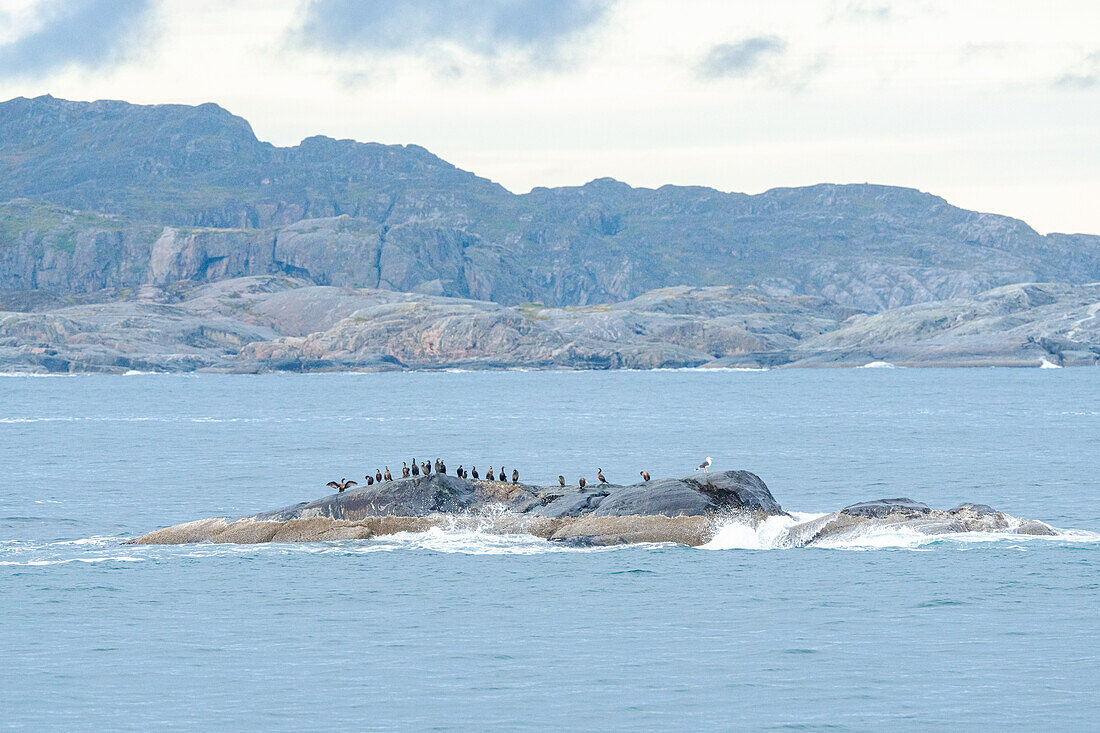  Norway, Finnmark, Grense Jakobselv, Russian border, Barents Sea 