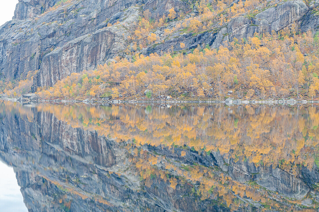  Norway, Finnmark, Grense Jakobselv, Russian border 