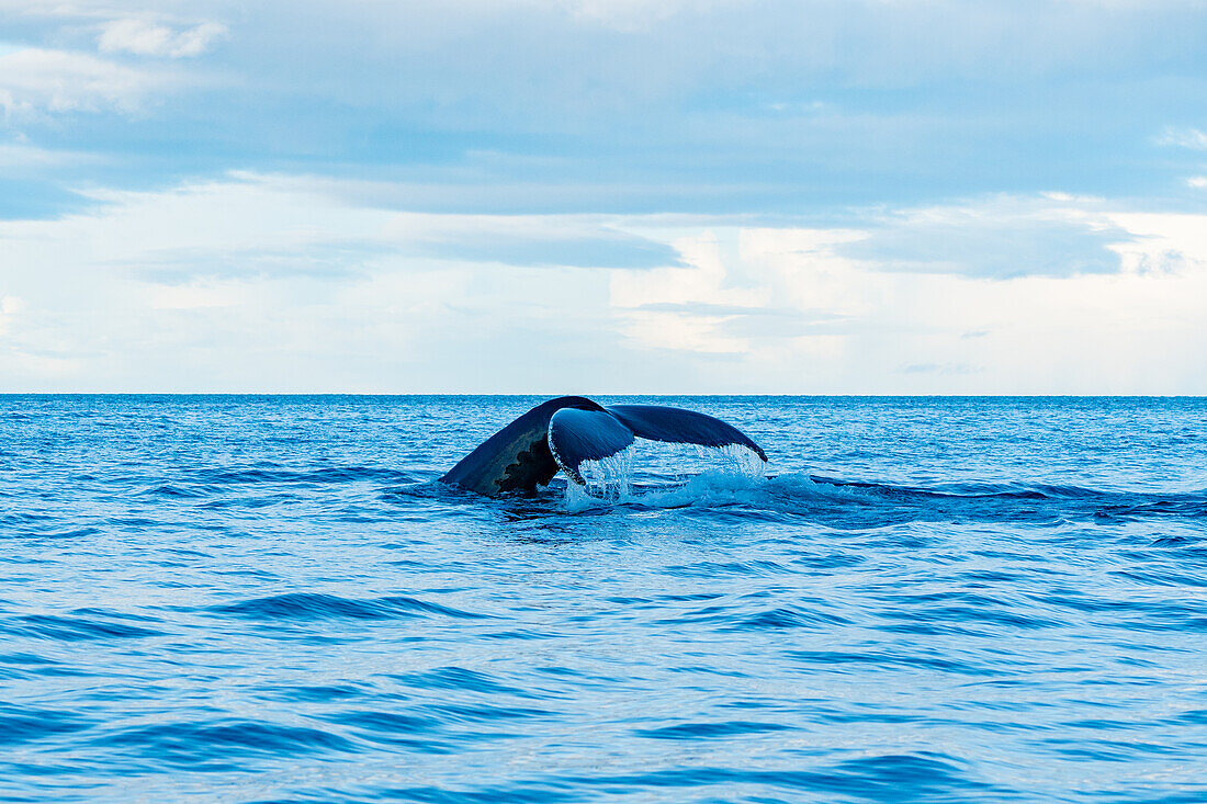  Norway, Skjervøy 